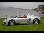 Bugatti Veyron 16.4 Grand Sport Roadster 2008 года